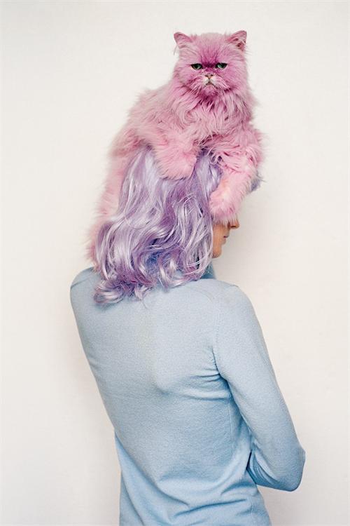 色彩选鲜艳还是标准,色彩的基础知识你知道吗