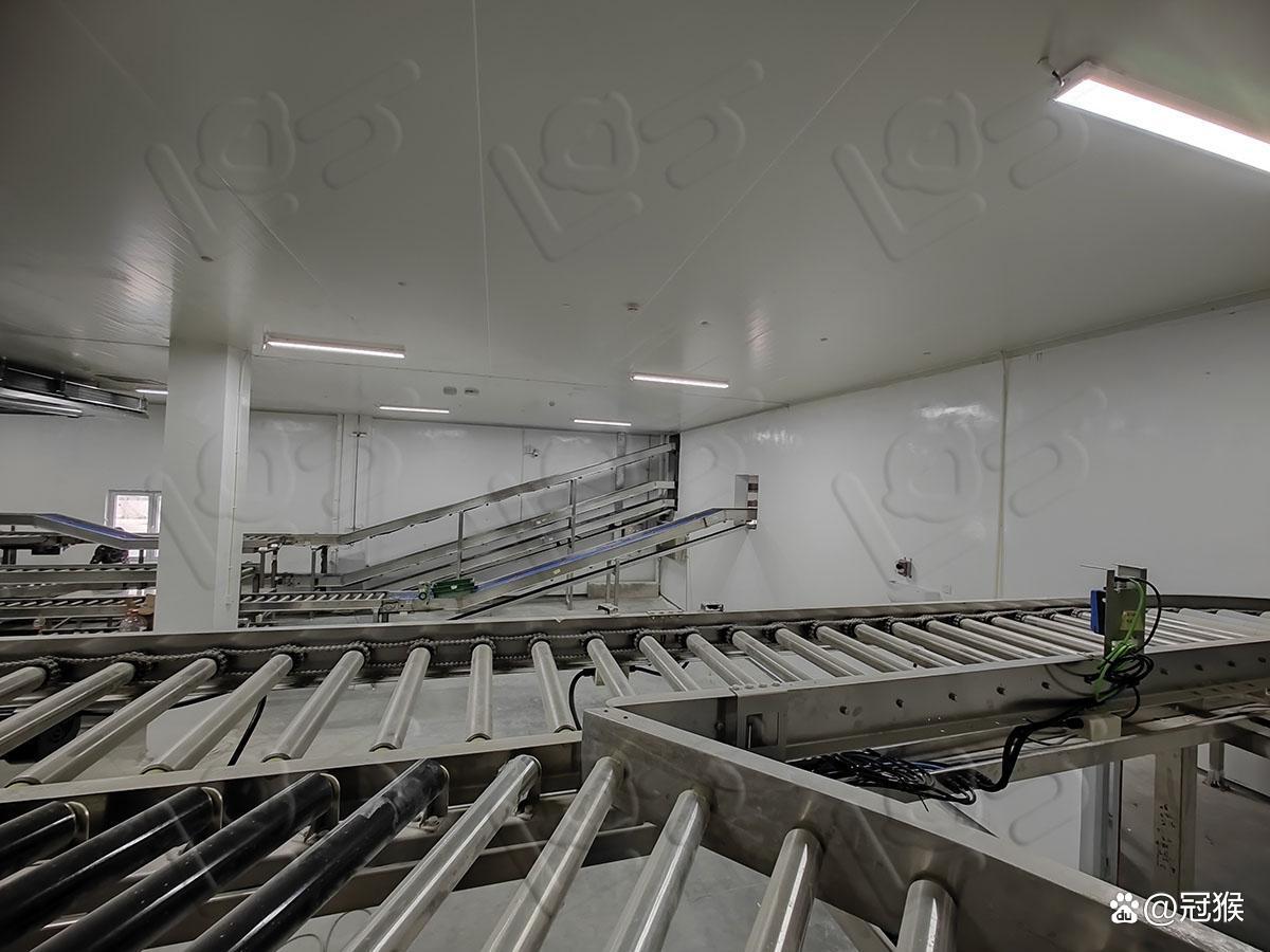 食品加工气力输送生产线,食品加工生产线自动化设备