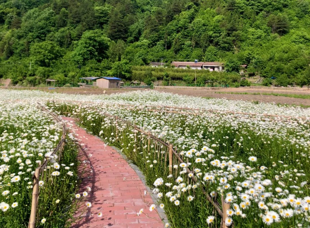 这才是清凉夏天的打开方式,清凉一夏夏天的正确打开方式