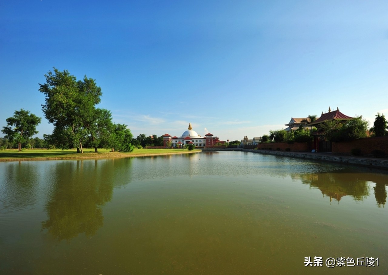 南亚国家外交活动,中国南亚多国