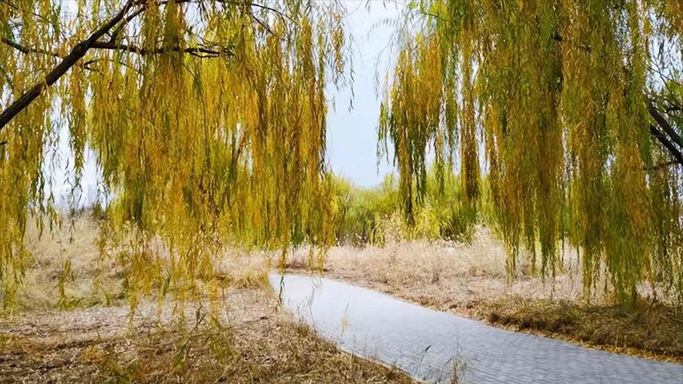 在素冬里，携一份勤劳，品一季安然