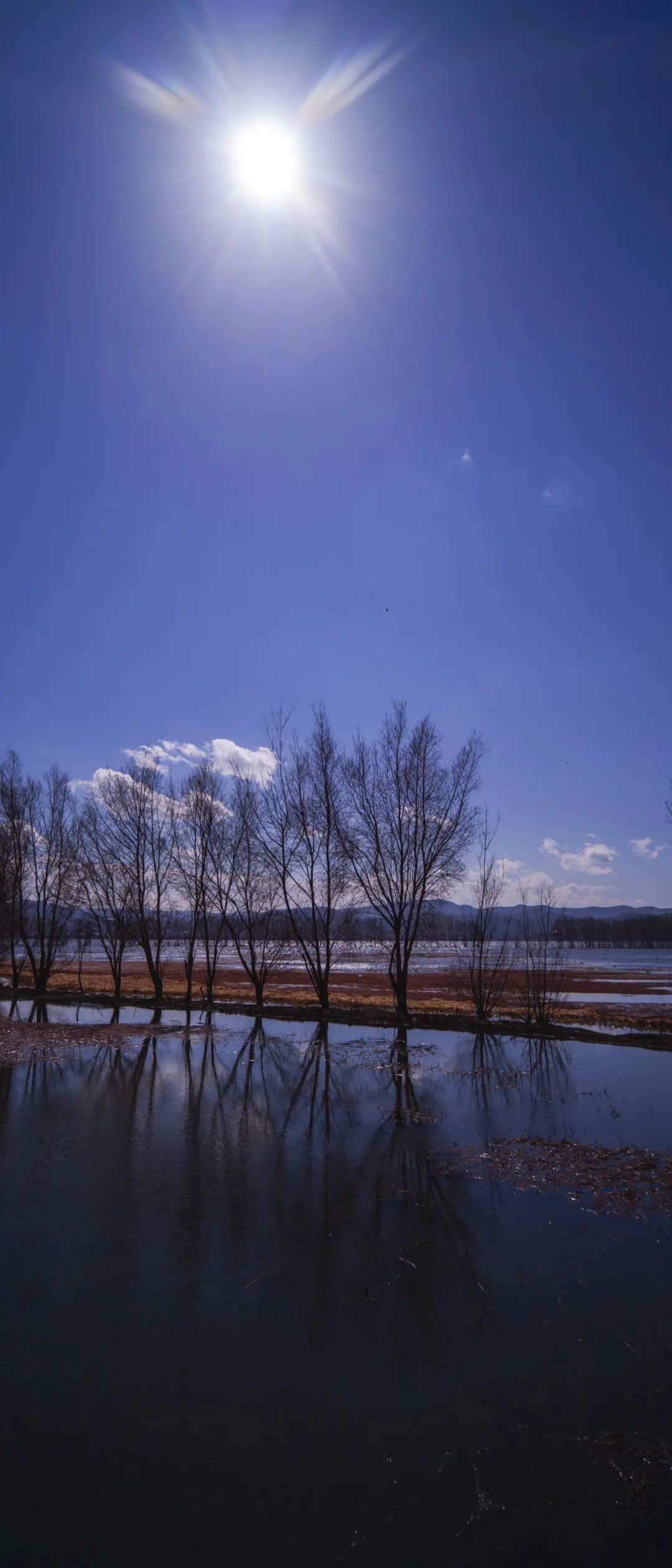 鑰佽洐15mmf4.5绉昏酱闀滃ご,鑰佽洐7.5f2璇勬祴