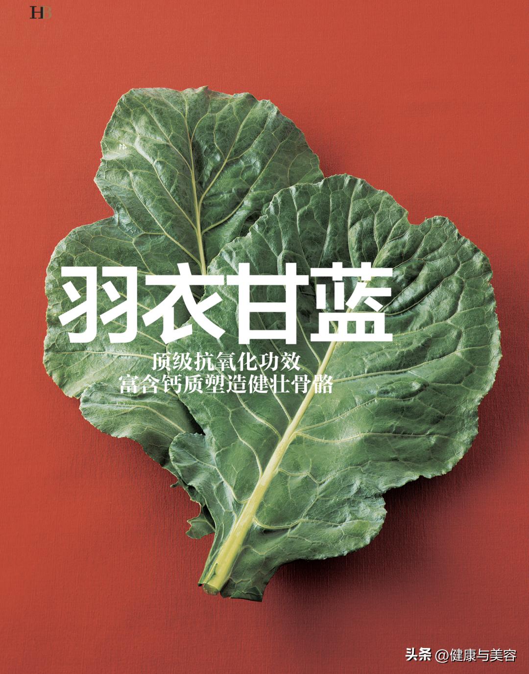 介绍一下羽衣甘蓝这种蔬菜,怎么介绍羽衣甘蓝营养价值