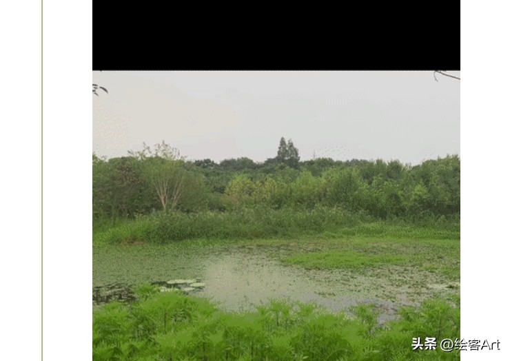 插画师的家里,插画师笔下温馨的家