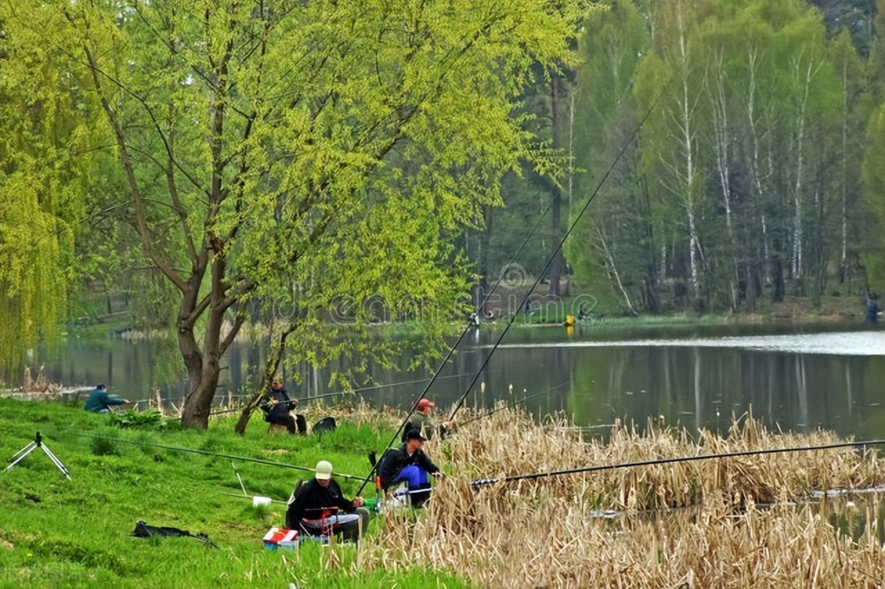 野钓最忌讳碰到这3种鱼,野钓的十大坏习惯