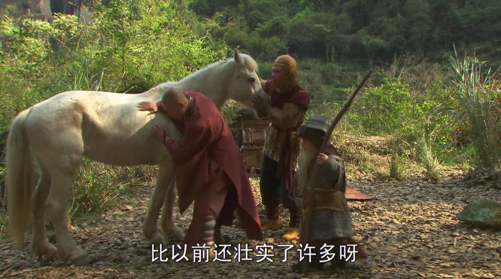 西游记中唐僧为什么杀小白龙,西游记小白龙的最高成就