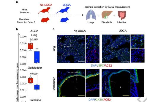 最新企业资讯(2022.12.8)这普通药能预防新冠?英国的最新研究