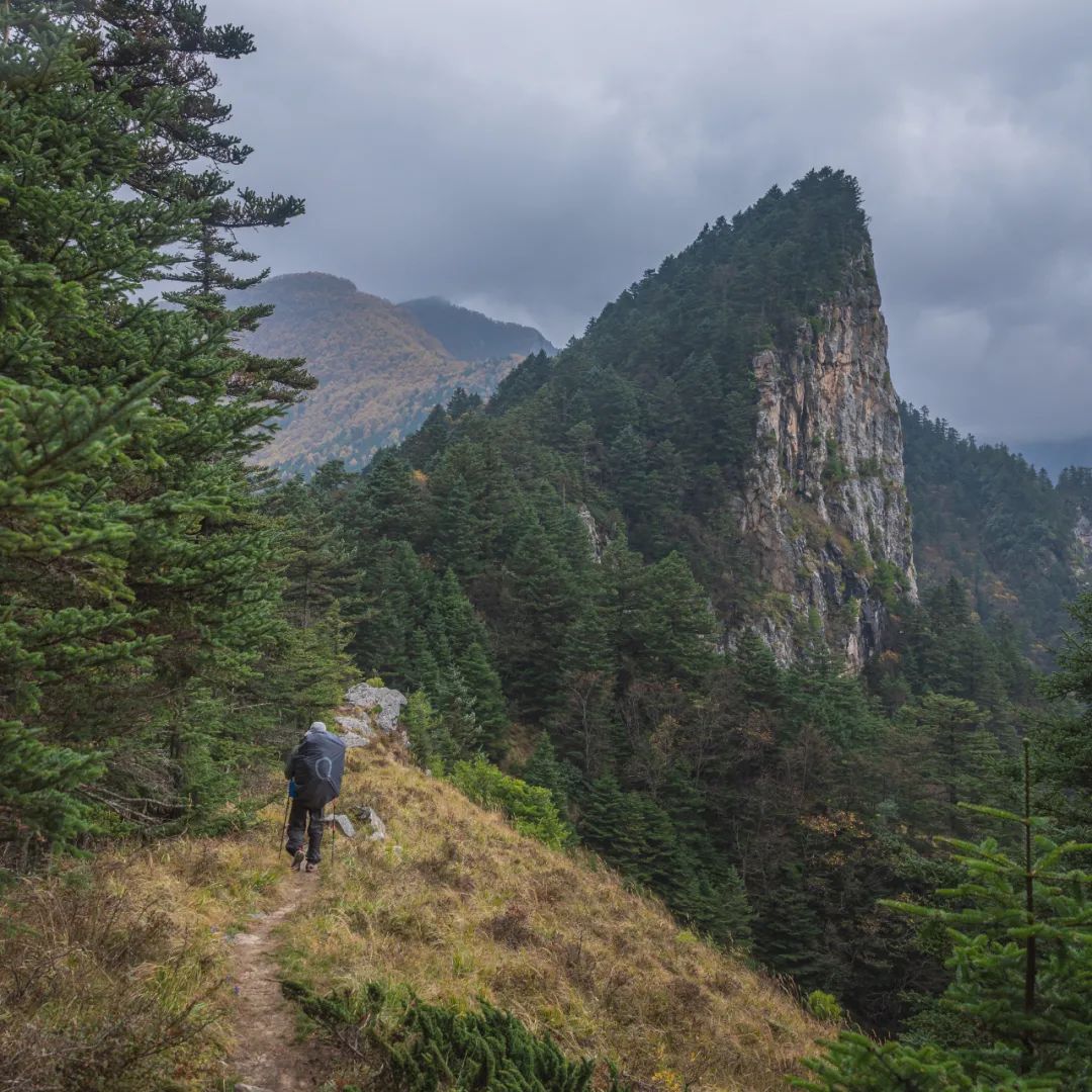 登太白山感受,太白山景区登顶拔仙台