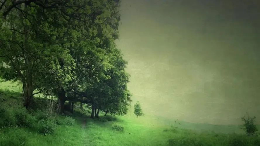 自画像作文四年级400字女生爱画画,我的自画像作文四年级优秀范文