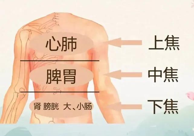 前列腺增生，一方补脾肺之气，打通上下焦，让膀胱畅通无阻