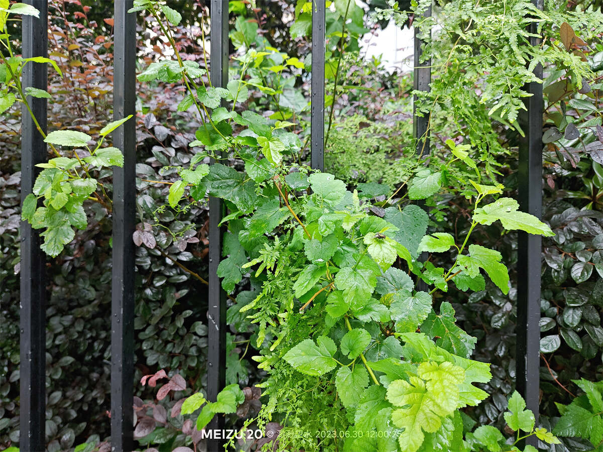 魅族20全系列深度测评,魅族20体验一段时间优缺点总结