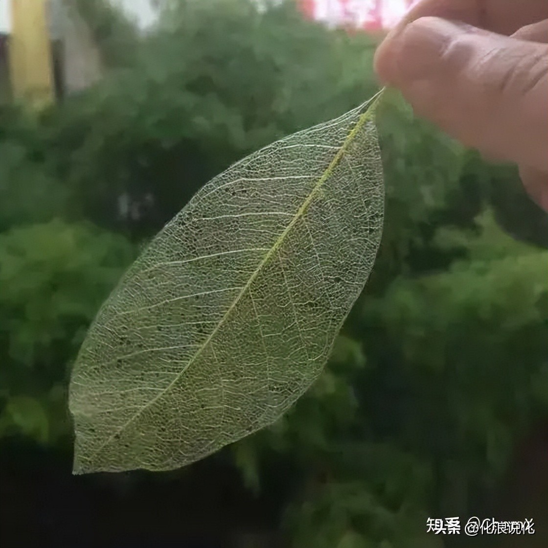 当对方说想要星星，如何用化学的方法满足愿望？