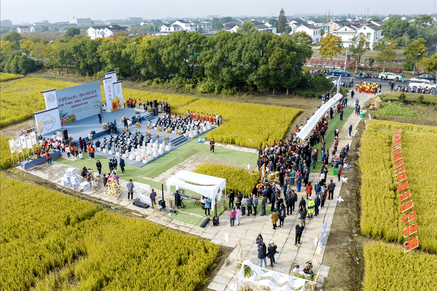 乡村振兴争当先锋,争当青年助力乡村振兴