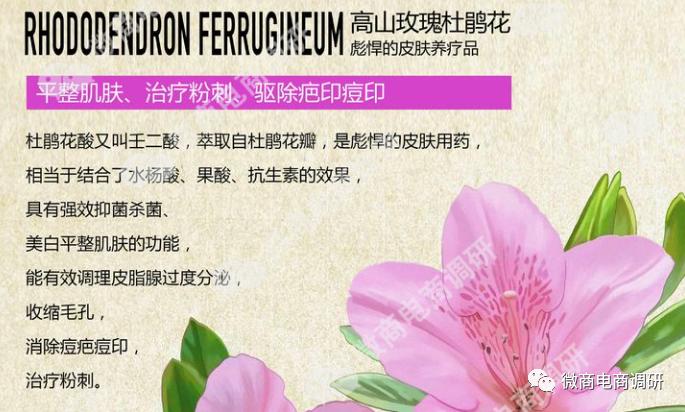 箐源草本化妆品,箐源草本修饰霜