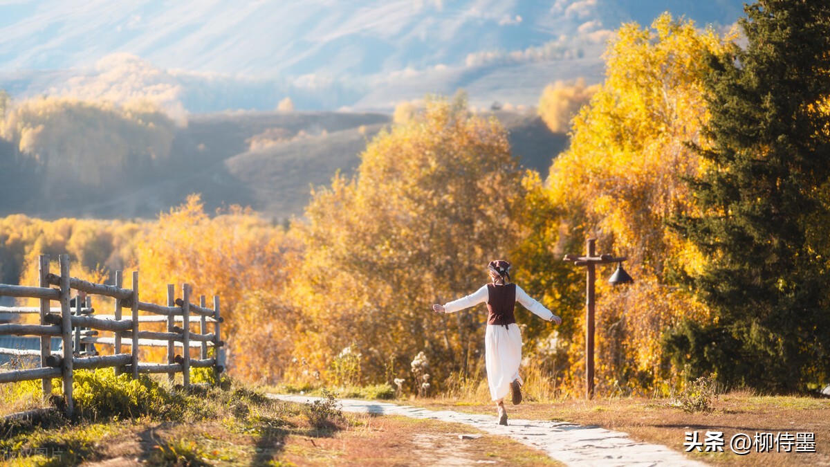 手机摄影拍摄技巧风景篇,手机专业摄影拍照技巧教程