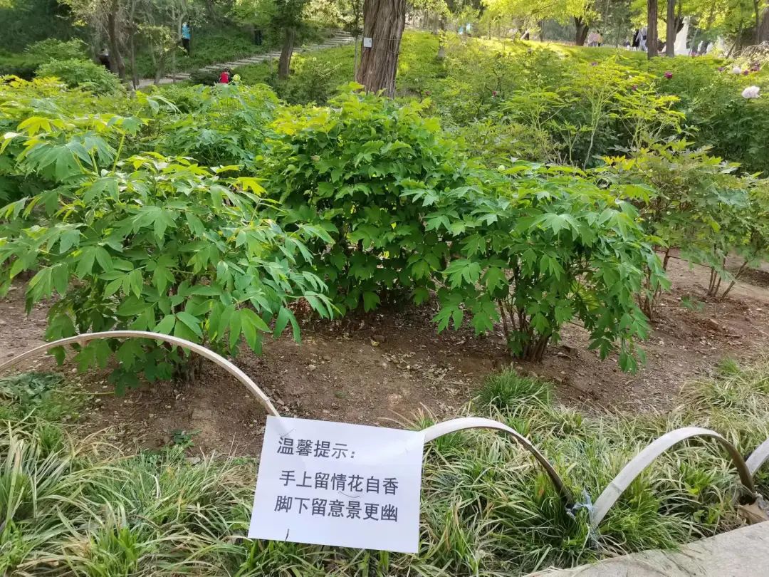 城市文明旅游,文明旅游才是最美的风景