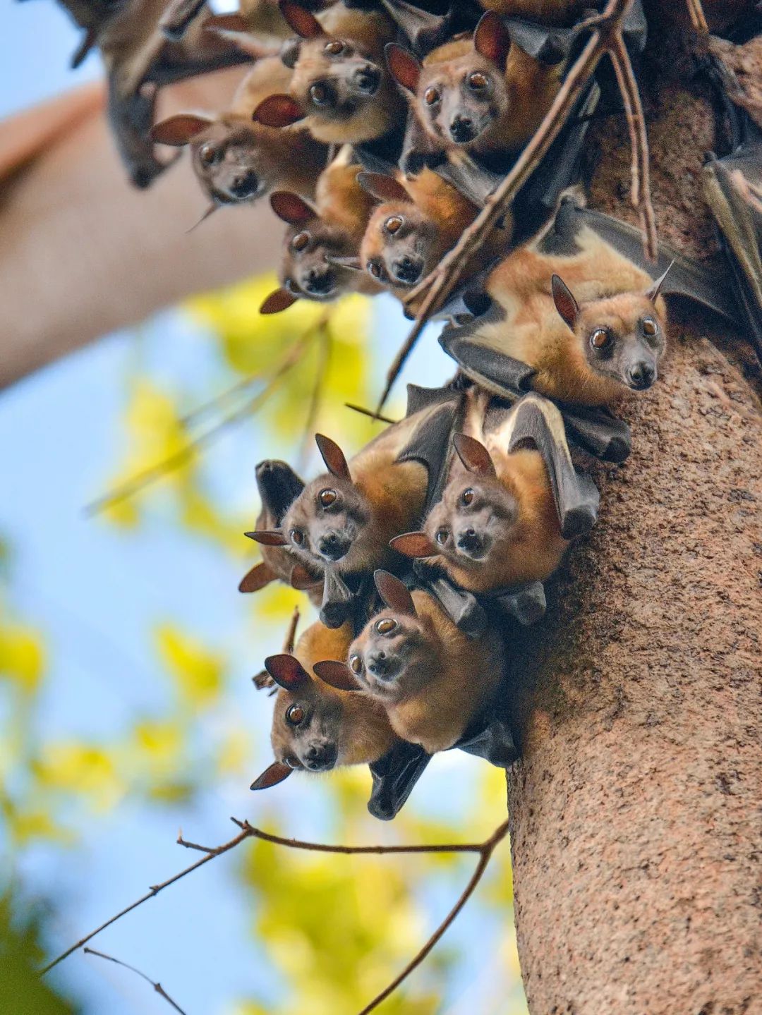 致与病毒搏斗的你！