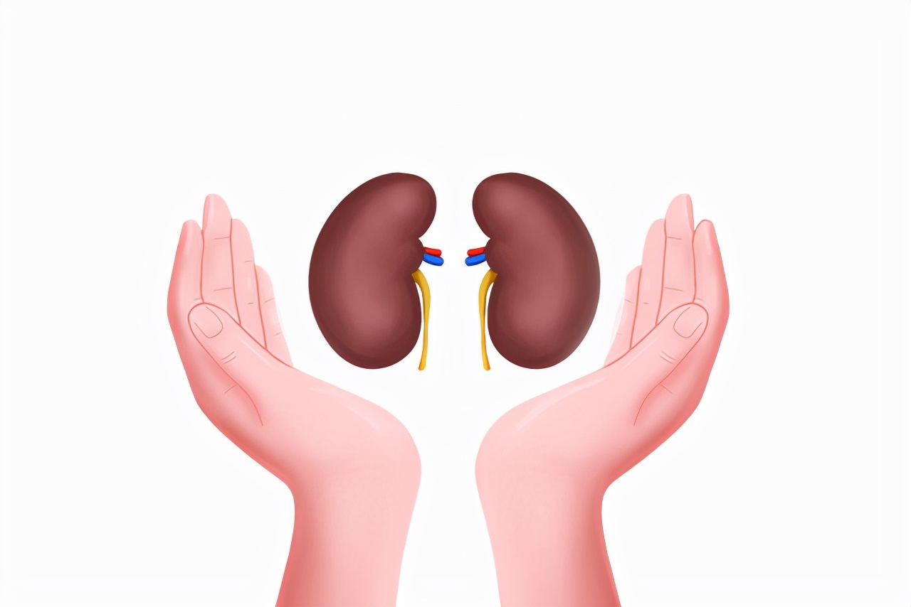 尿蛋白高是什么原因造成的肾病,糖尿病肾病如何降低尿蛋白的水平