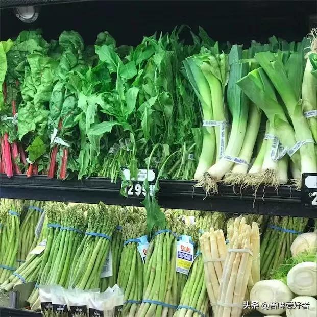 小时候割猪草,小时候割喂猪的猪草都叫什么