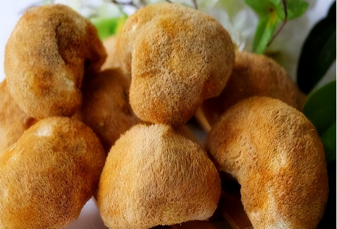 胃药和安眠药相克吗,胃药跟抗生素有冲突吗