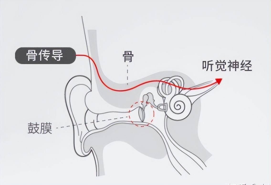 平价好用耳机怎么选,平价好用的蓝牙无线耳机