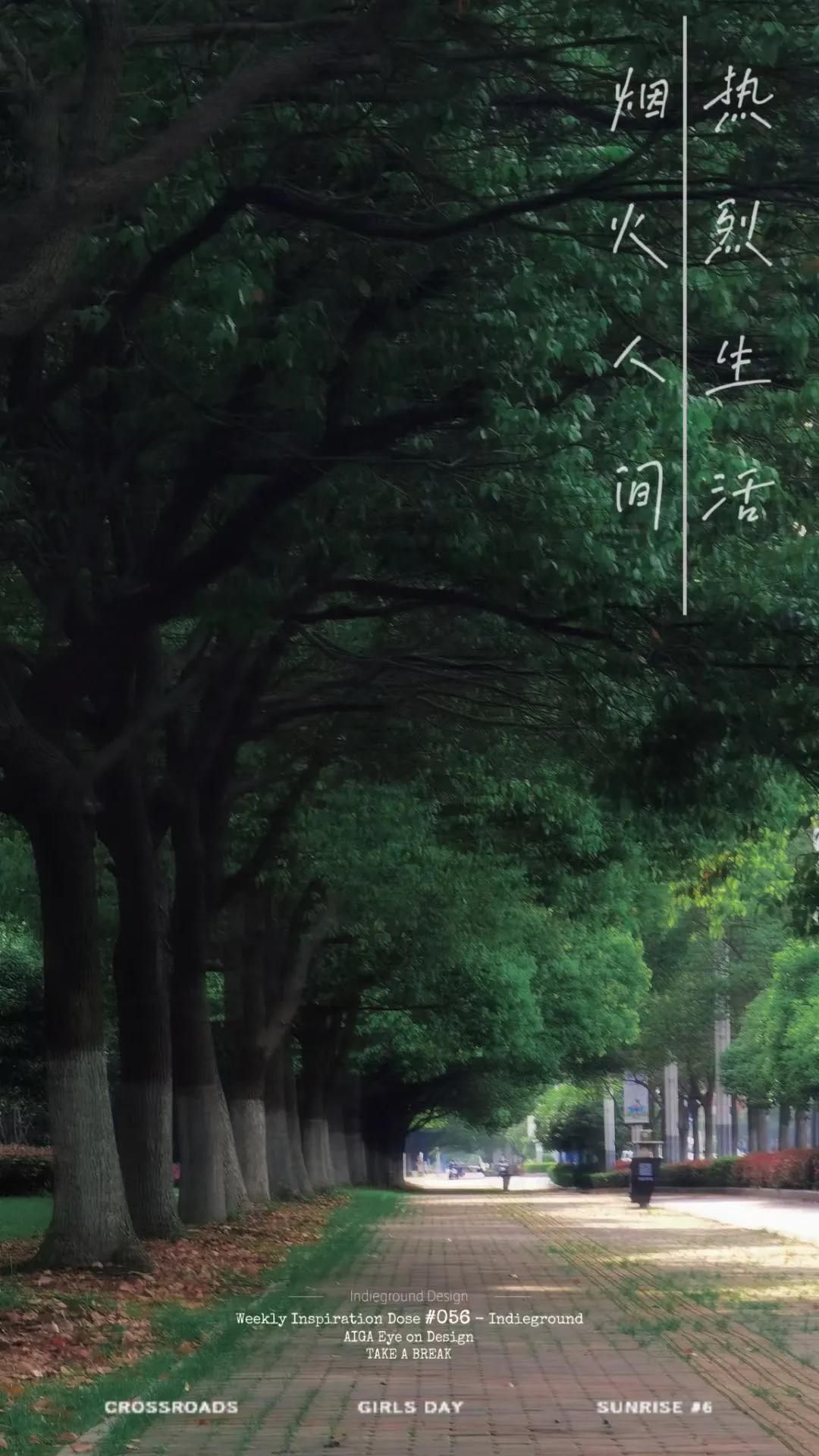 新手如何开好自己的车不熄火,新手如何开好自己的车道