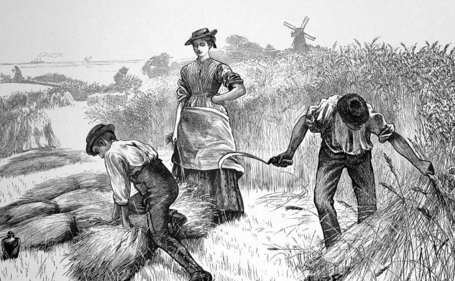 洪都拉斯毒枭,世界头号毒枭藏身洪都拉斯