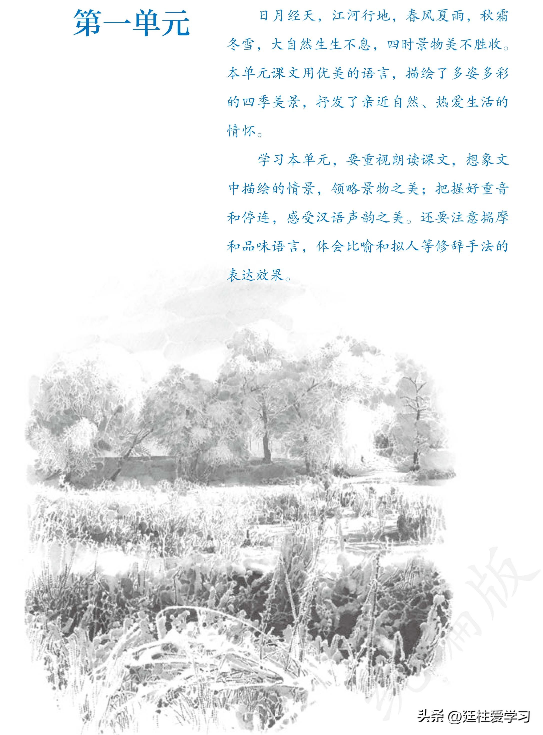 语文七年级上册电子版,语文七年级上册电子版课时练