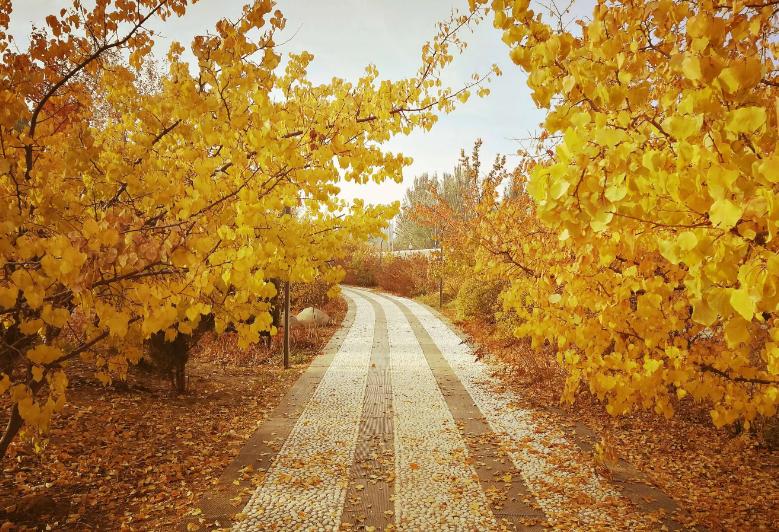 古诗词里的冬日温暖,古诗词里最美的冬天句子