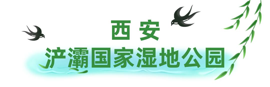 骑行打卡景点,湿地骑行观风景