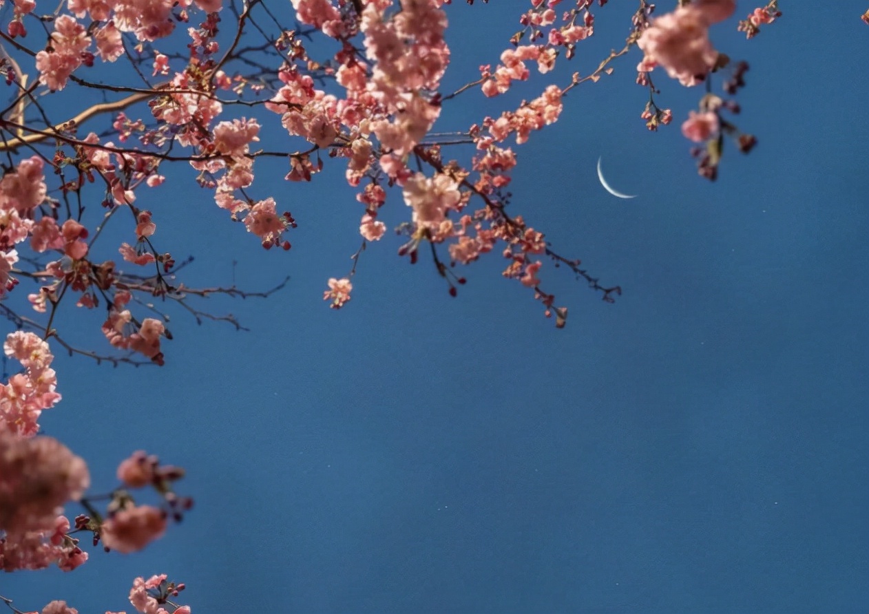 普普通通却带有深意的情绪文案,普普通通却又很惊艳的文案