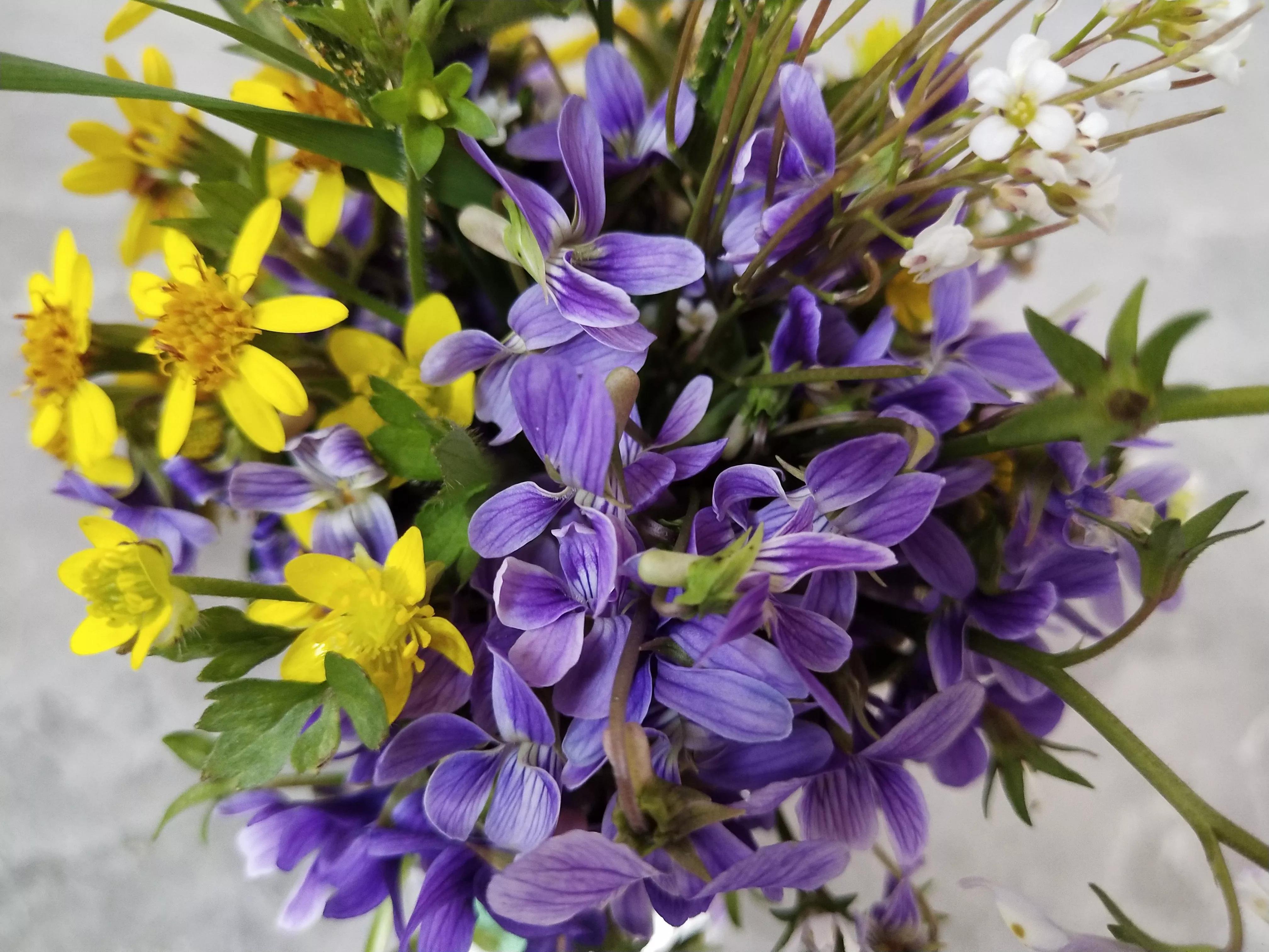 为让我参加同事孩子百日宴，丁克老公花29800给我买包包