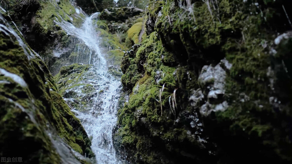郭进拴,郭进拴令人惊心动魄的生死守护
