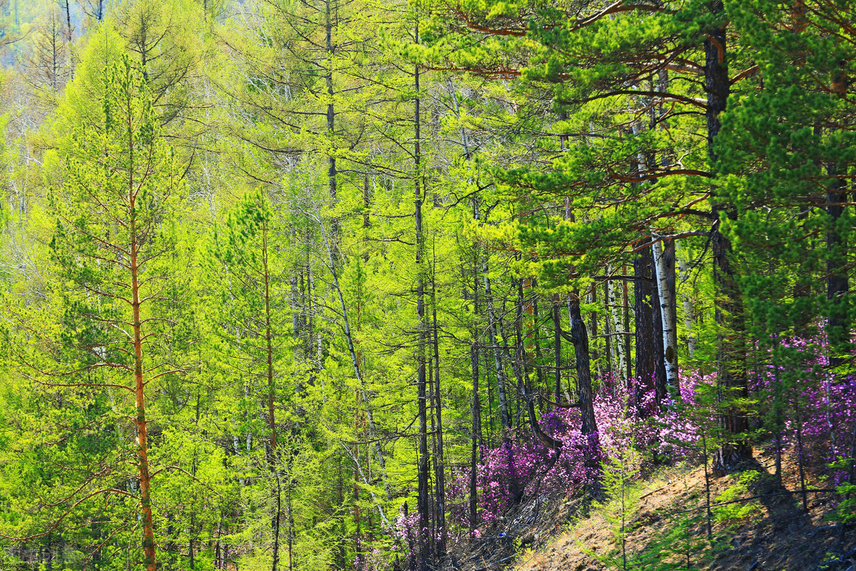 女作家去做保姆134,女作家去做保姆265