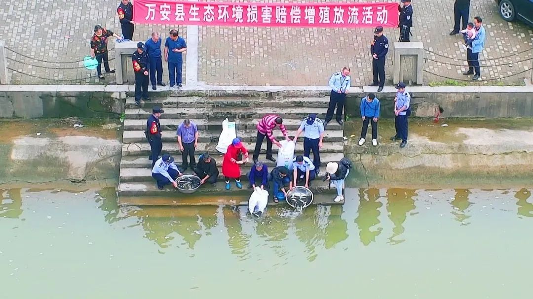 非法捕捞一条鱼垂钓者被罚2000元,非法捕捞者放流百万鱼苗