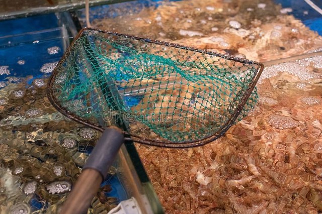 南宁的新南北方饮食差异,一个北方人的印象