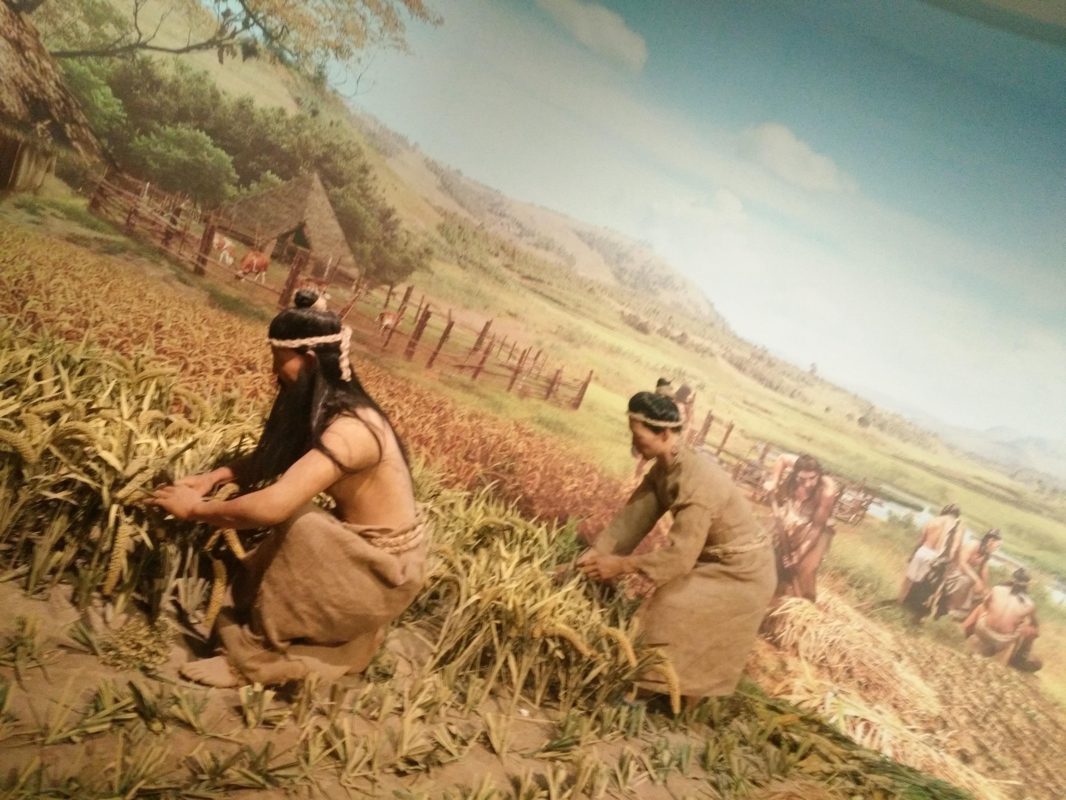 释迦加入人类阵营的原因,盘古开天后诞生的第一个生灵