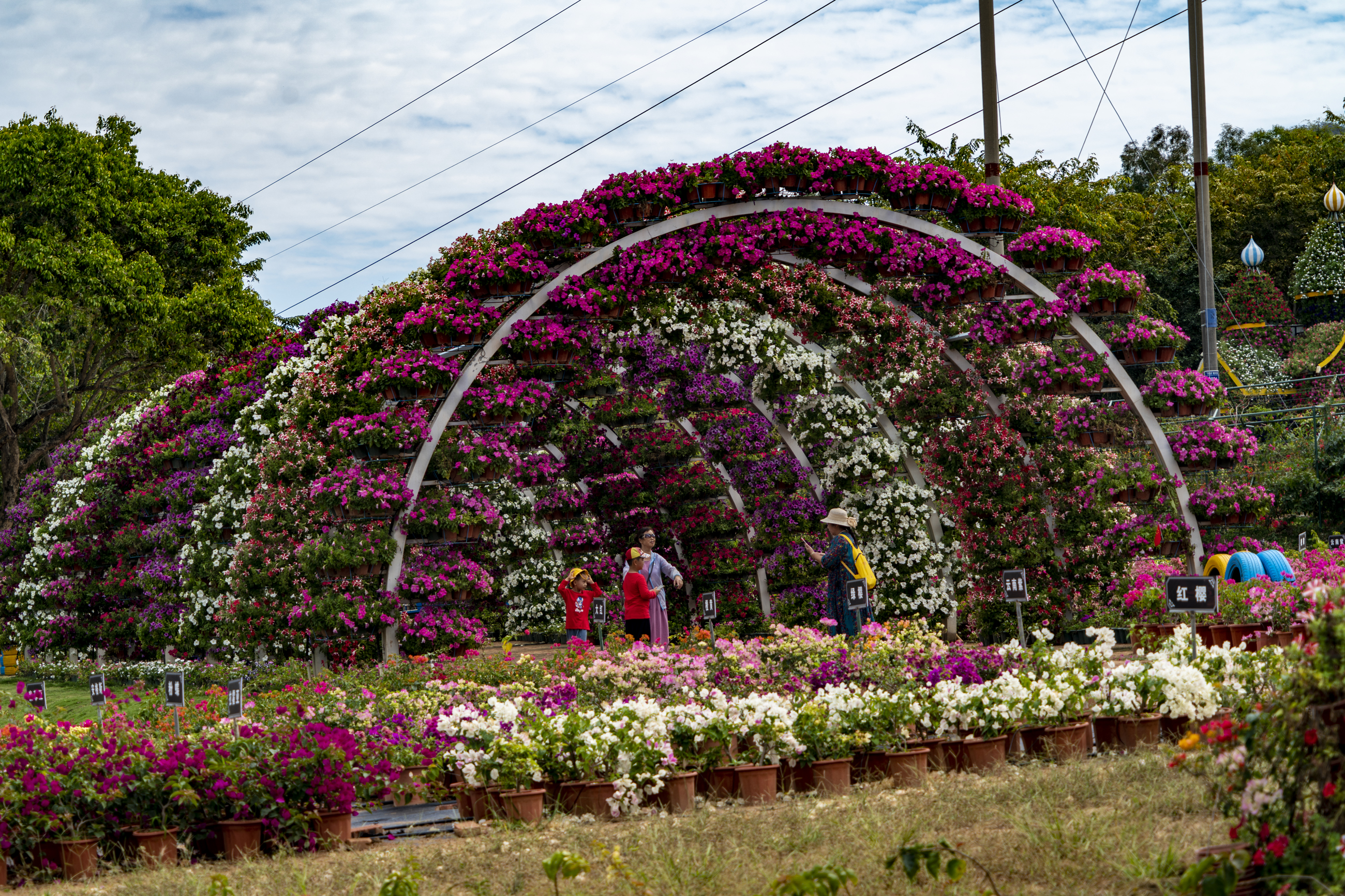 三亚天行森林公园门票,三亚天行森林公园旅游攻略