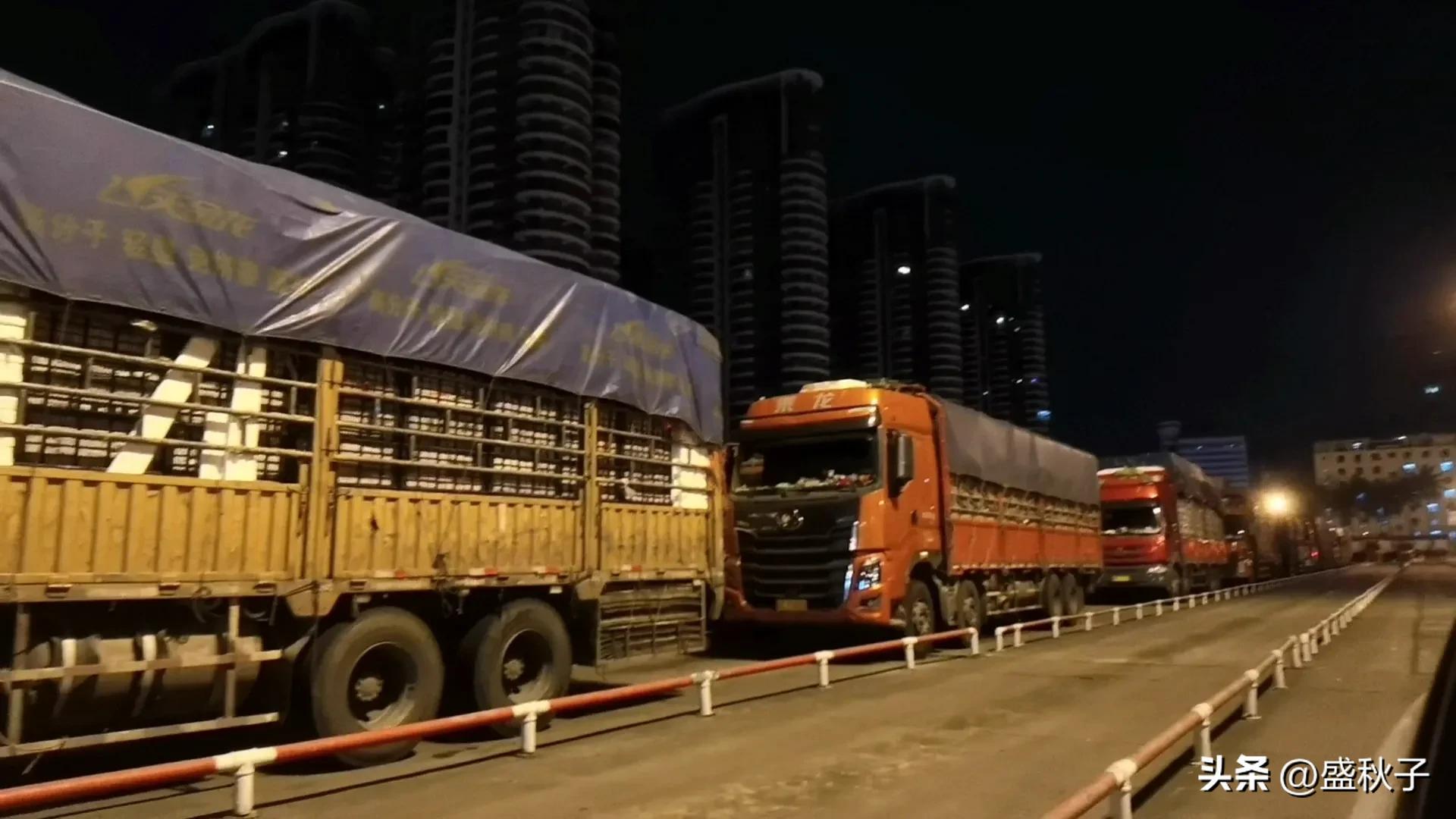 海口—阳朔自驾游（轮渡篇）