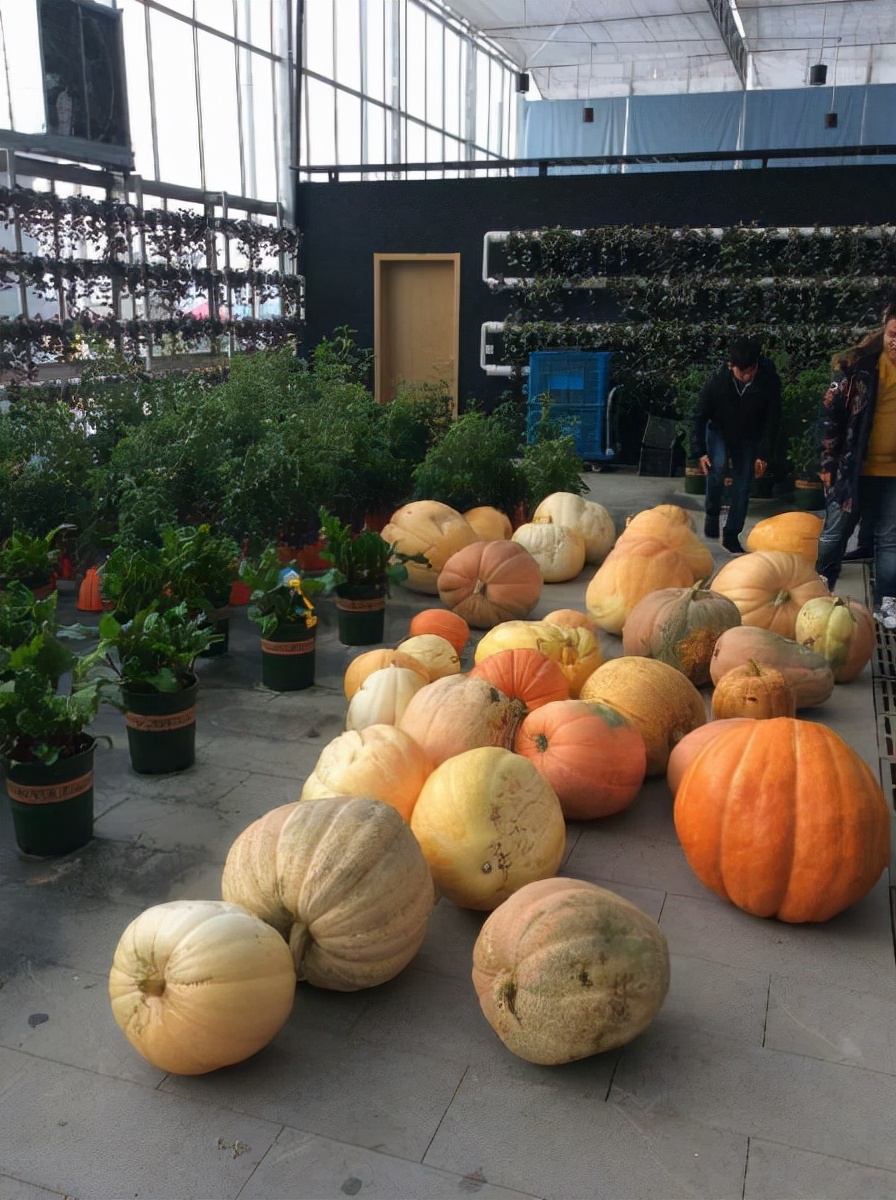 从南京出发去九寨沟自驾游攻略,自驾游南京旅游攻略最新