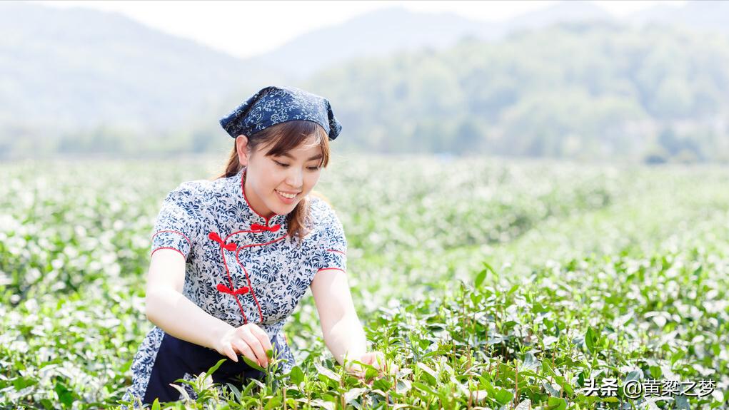 乡野往事｜杏花坪琐事（59）