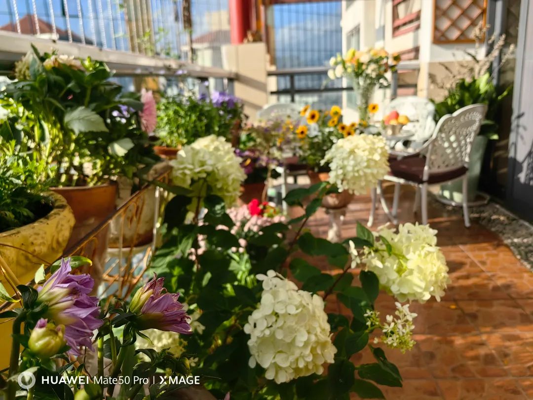 很多人羡慕的阳台,让别人羡慕的阳台