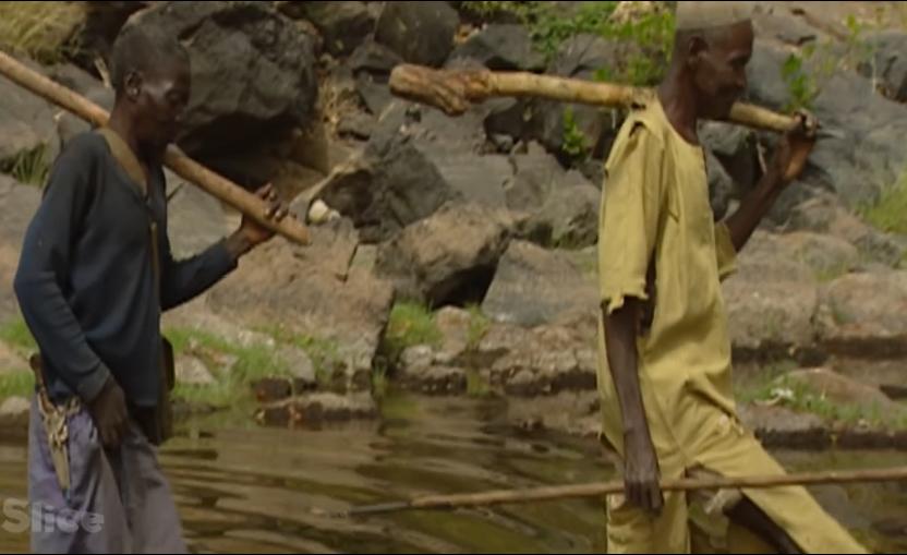 非洲部落狩猎巨蟒的真实场景，巨蟒头被锤烂都还死缠不放！纪录片