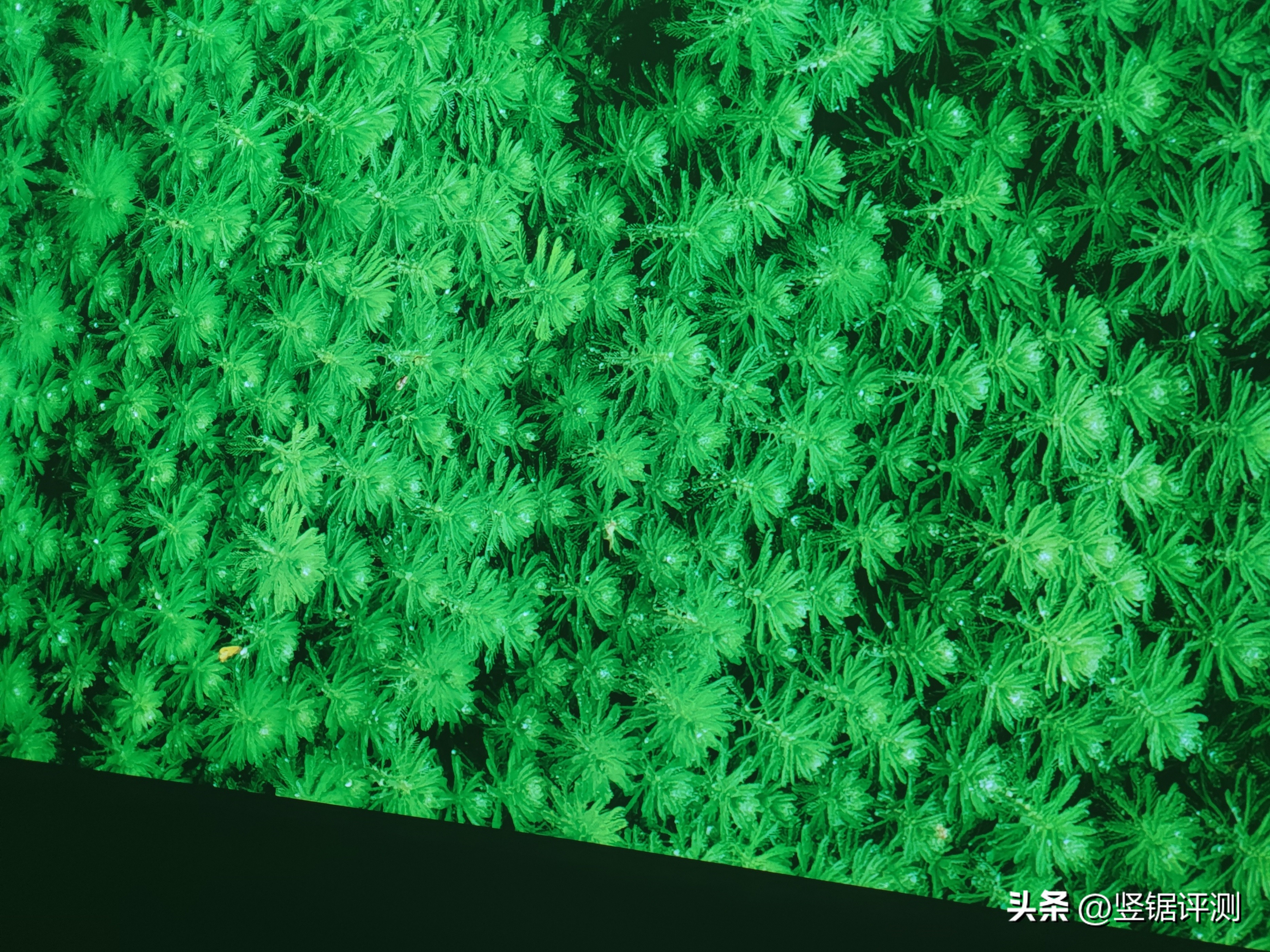 三星LSP7T4K激光电视,三星激光电视lsp9t评测