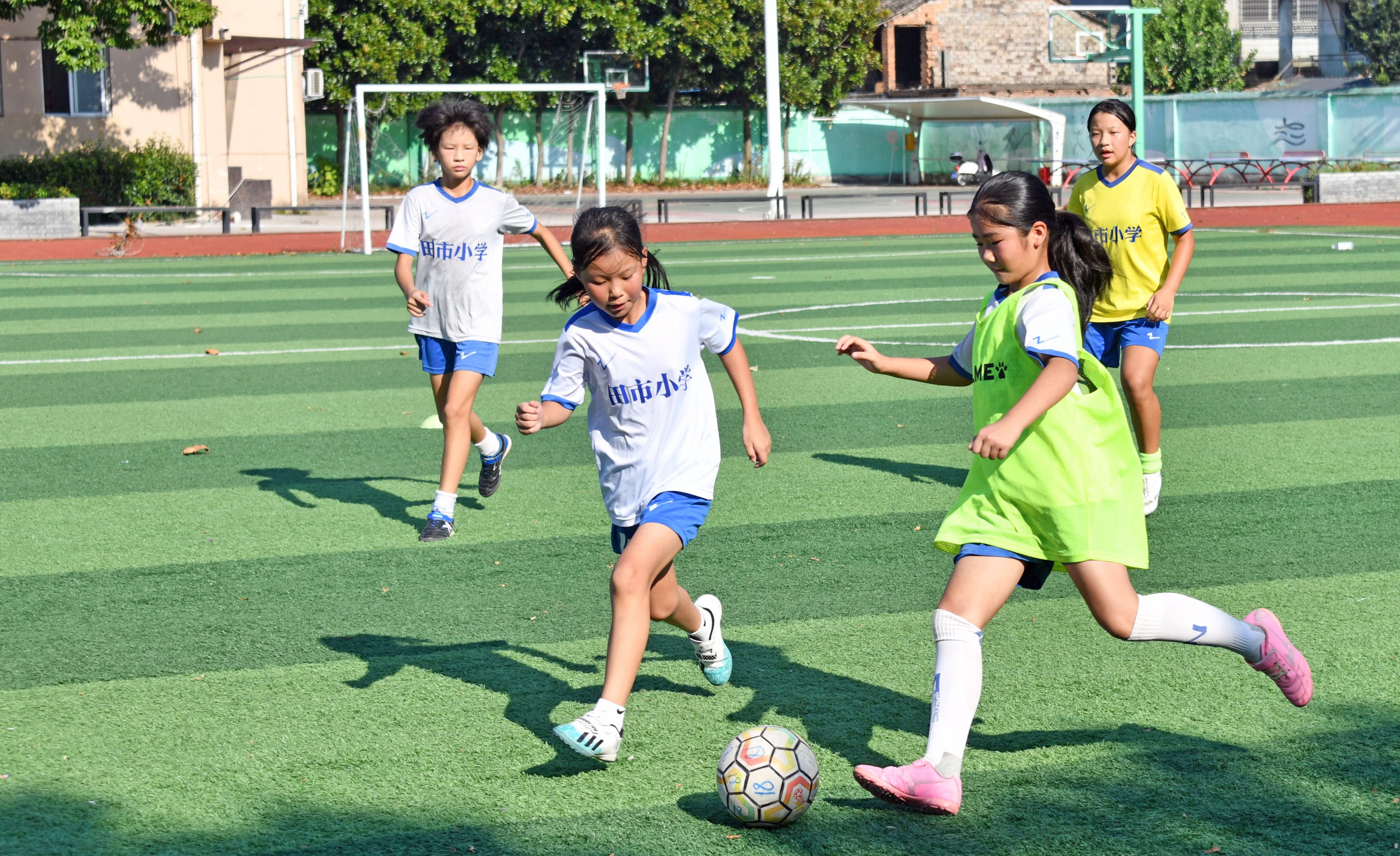 仙居暑假夏令营,仙居暑假兴趣班篮球