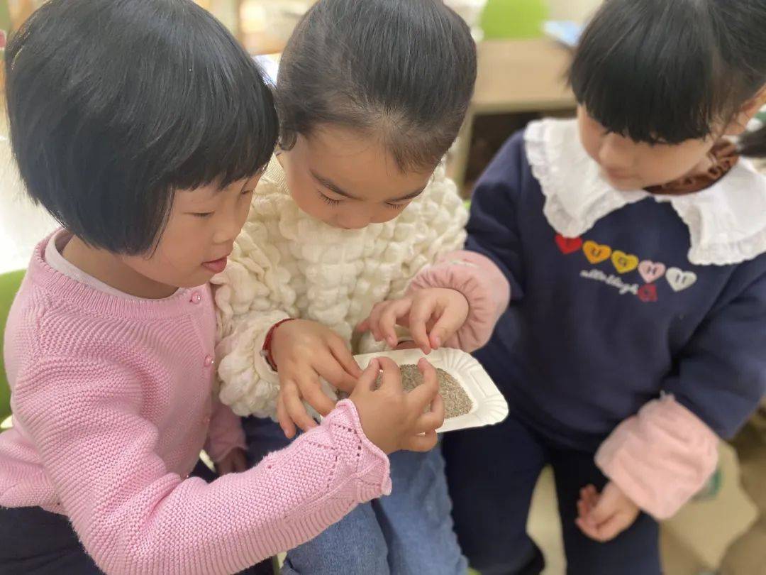 科学探索幼儿园小实验,建德诺亚舟幼儿园