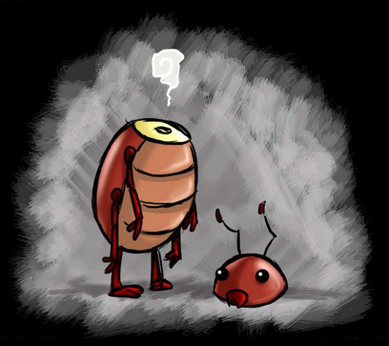 蟑螂没有头能存活很久是真的吗,蟑螂为何遭受巨大打击也能存活