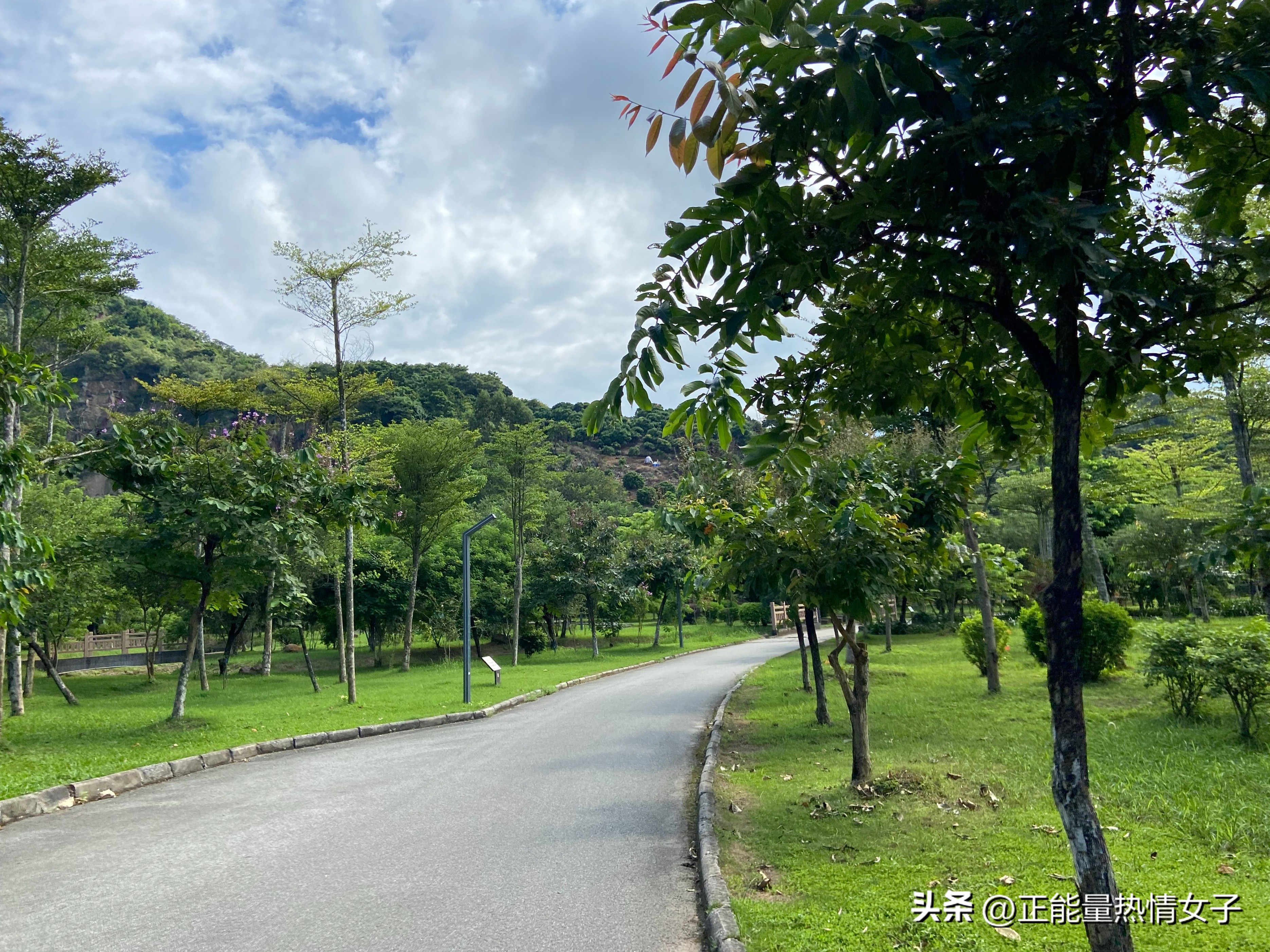 广州梅花岭森林公园,广州市白云区五峰山森林公园