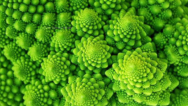 标度率本质,自然界基本守恒定律