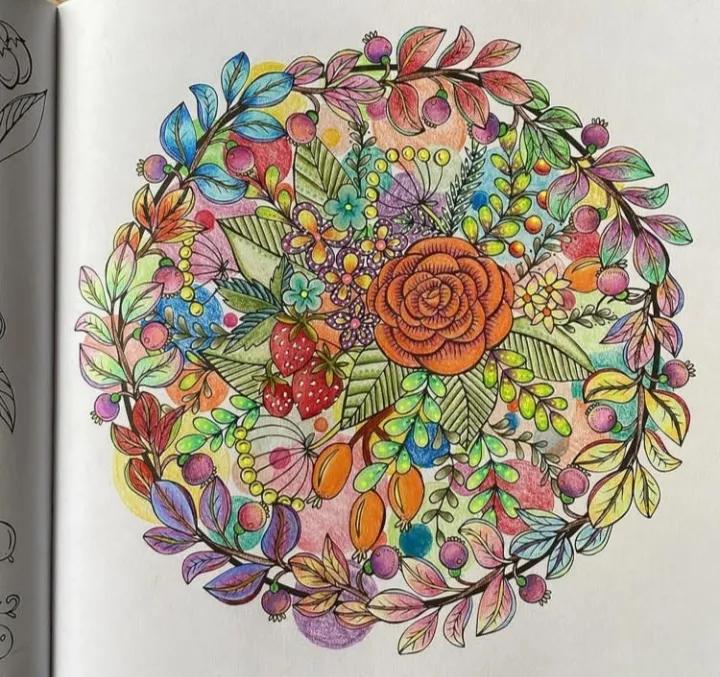 100幅初学者彩铅画花卉,100张新手彩铅临摹图片